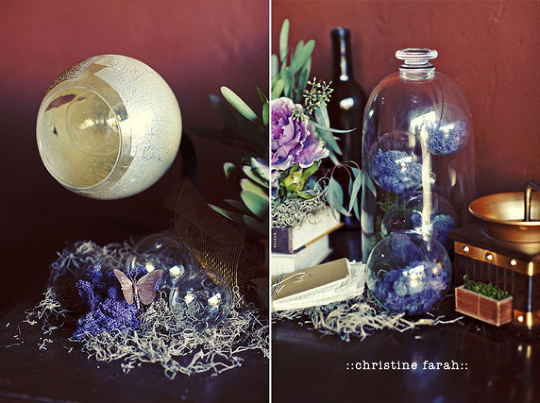 ChristineFarahPhoto011