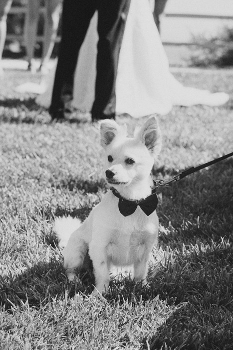 bacara_resort_wedding036