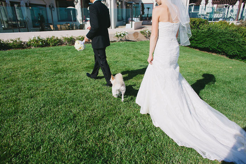 bacara_resort_wedding053