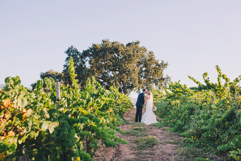 gainey_vineyard_santa_ynez_wedding068