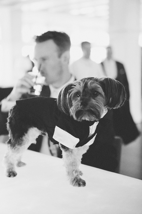 l'auberge_del_mar_wedding_christine_farah004