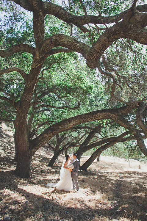 Firestone_Winery_Wedding_Christine_Farah018