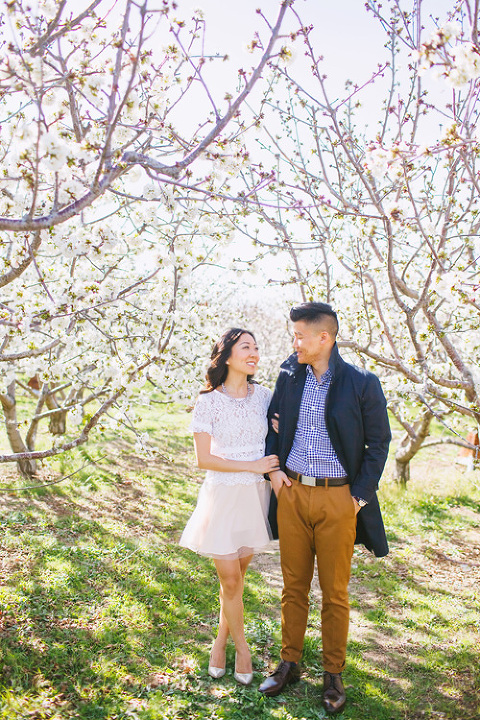 cherry_orchard_engagement_shoot_christine_farah001