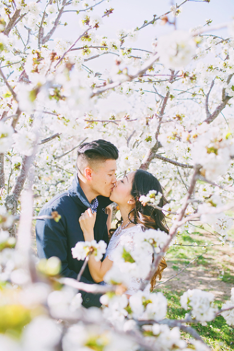 cherry_orchard_engagement_shoot_christine_farah002