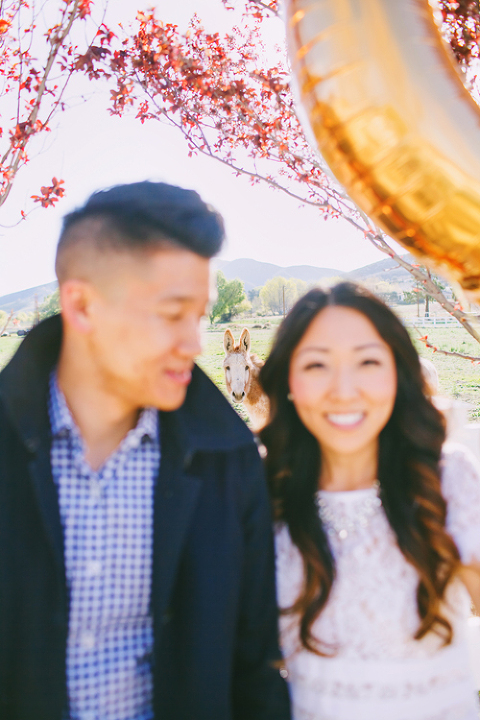 cherry_orchard_engagement_shoot_christine_farah013