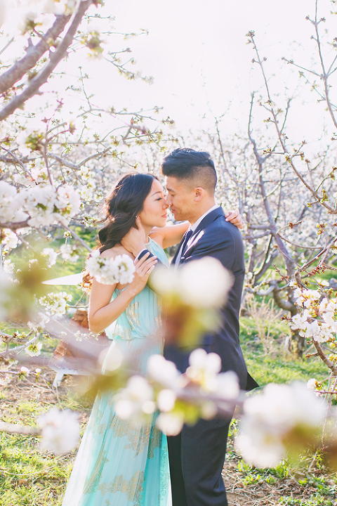 cherry_orchard_engagement_shoot_christine_farah021