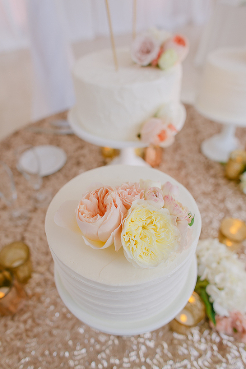 segerstrom_hall_wedding_christine_farah_photography063